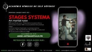 Stage de SYSTEMA à NIMES: PRINCIPES DE BASE @ ANSD | Nîmes | Occitanie | France